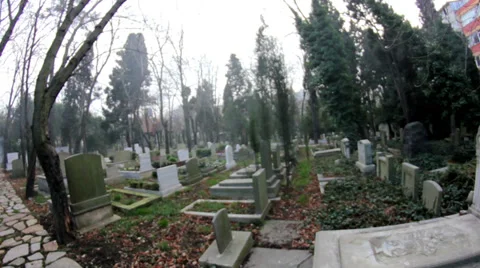 Cemetery With Camera Tilting Down To Grave Stock-Footage 36781472