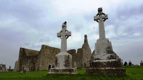 Cemetery, Crow Sits on Headstone Stock Footage 81713133