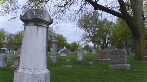 Cemetery with Drooping Tree 4K Stock Footage 130595358