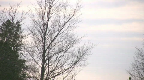 Cemetery at dusk Stock Footage 399157