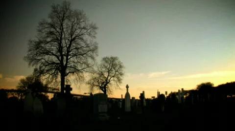 Cemetery at Dusk with Trees Video stock 344393