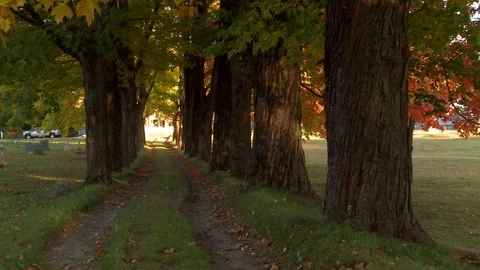 Cemetery in Fall Video stock 77481447
