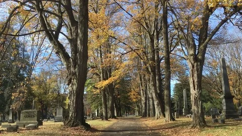 Cemetery in Fall Vidéo 84380422