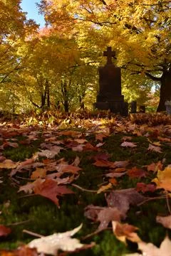 The cemetery in the fall Stock Photos