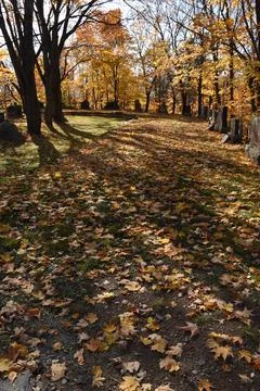 The cemetery in the fall Stock Photos