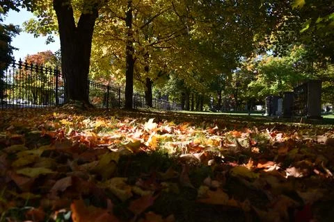 The Cemetery in the Fall Stock Photos