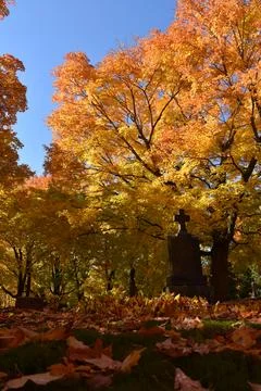 The Cemetery in the Fall Stock Photos