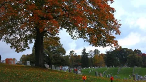 Cemetery with fall tree Stock Footage 8852490
