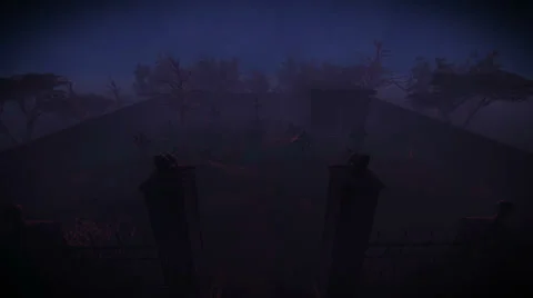 Cemetery Stock Footage 24974775