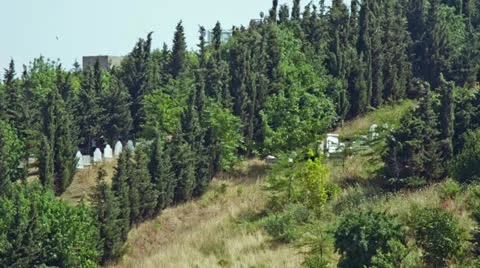 Cemetery 스톡 동영상 25591869