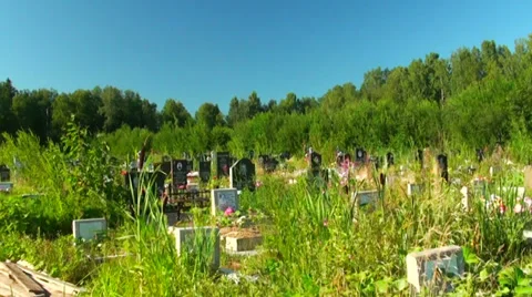 Cemetery Stock Footage 29658011