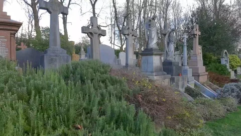 Cemetery Vidéo 123347256