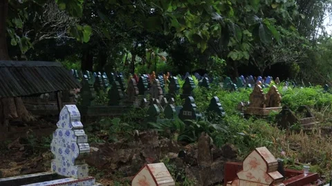 Cemetery Stock-Footage 325562050