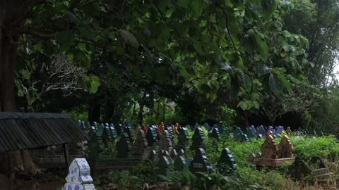 Cemetery Stock Footage 325562180