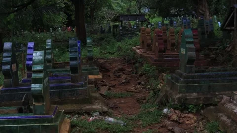 Cemetery Stock Footage 325562590