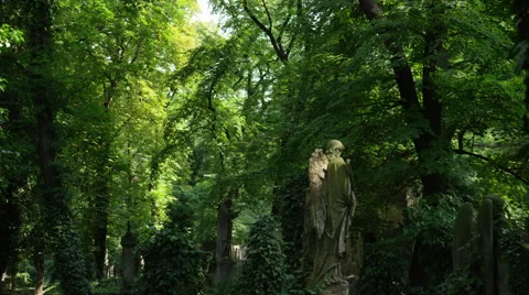 Cemetery Forest Statues - 4k Video stock 58869242