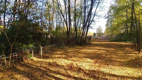 Cemetery of Ghost Town Pripyat, Chernobyl Exclusion Zone, Ukraine Stock Footage 78838341