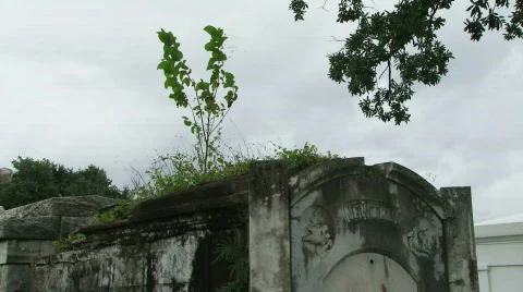 Cemetery Graves - 10 Stock Footage 652584