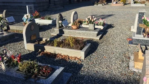 Cemetery with graves and monuments Stock Footage 101378118