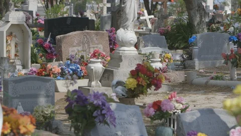 Cemetery gravestones Stock Footage 104881847