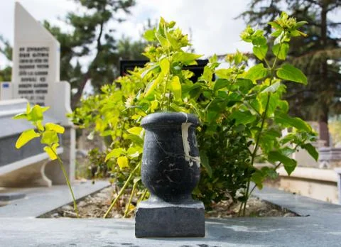Cemetery head Stock Photos
