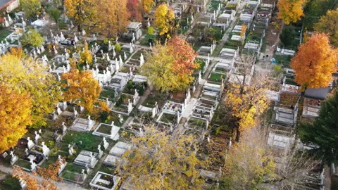 Cemetery with multiple graves and yellowed trees. View from the drone. Video stock 145143845
