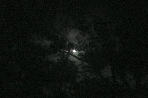 Cemetery at Night Stock Footage 359529