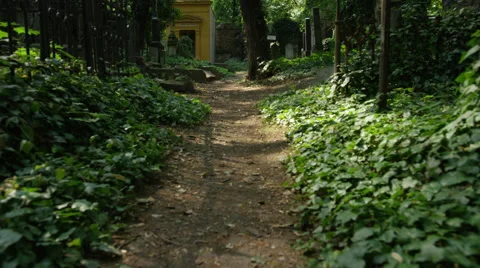 Cemetery Path Headstones - 4k Stock Footage 58869887