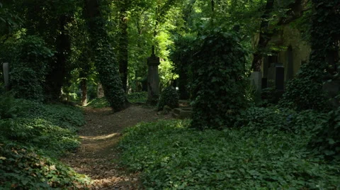 Cemetery Path Vines Statues - 4k Stock Footage 58868430