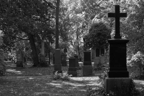 Cemetery Stock Photos