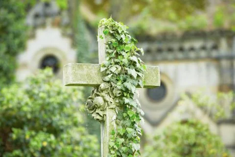 Cemetery Stock Photos