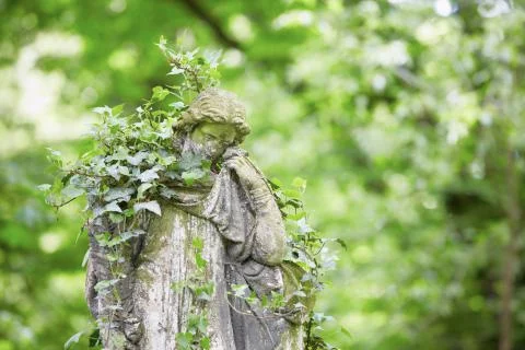 Cemetery Stock Photos