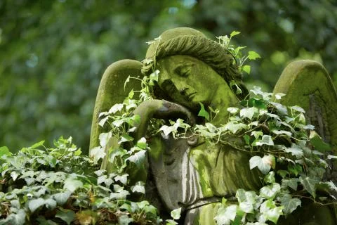 Cemetery Stockfoto's