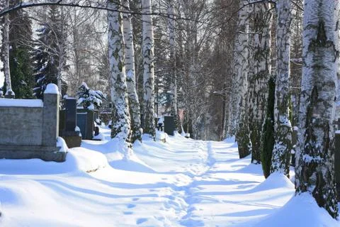 Cemetery Stock Photos