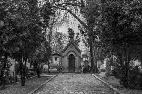 Cemetery Stock Photos