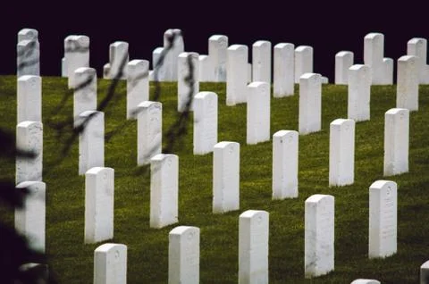 The Cemetery Stock-Fotos