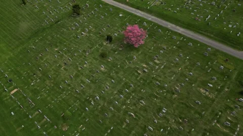 Cemetery in Pittsburgh Stock Footage 273822497