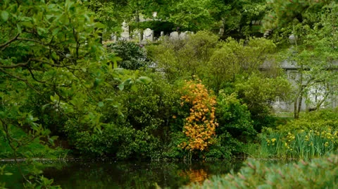Cemetery by Pond Stock-Footage 24160091