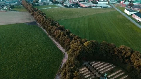 Cemetery Serenity Stock Footage 250041082