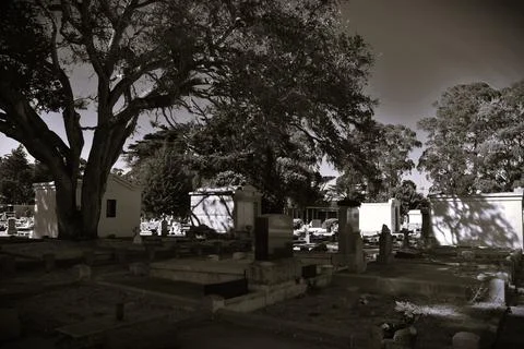 Cemetery in Shadow Stock Photos