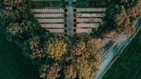 Cemetery Skies Stock Footage 250041367