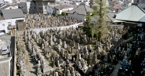 Cemetery squeezed between Houses Stock Footage 205748566