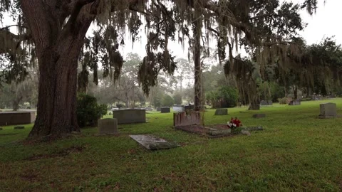 A cemetery at sunset. 4K Stock Footage 141227100