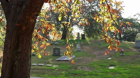 Cemetery Sunset Fall Trees Fireflies Stock Footage 46989238