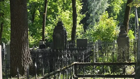 Cemetery surrounded by tall trees and metal fencing. The setting features Stock Footage 345885084