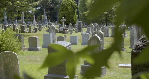 Cemetery through leaves Stock-Footage 135359687