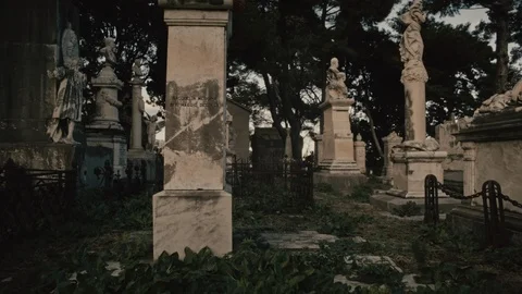 Cemetery, tombs and trees Stock Footage 104924928