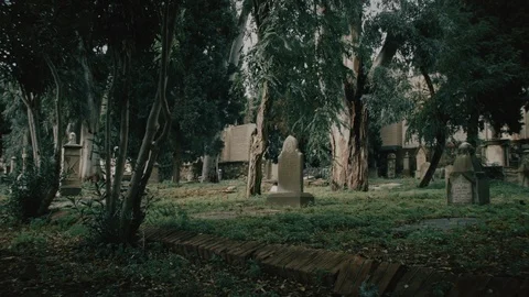 Cemetery, tombs between the trees Stockbeeldmateriaal 104922693