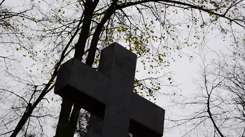 Cemetery trees and cross Stock Footage