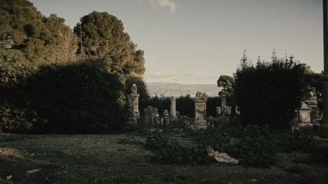 Cemetery, walking path and tombs Stock Footage 104926063